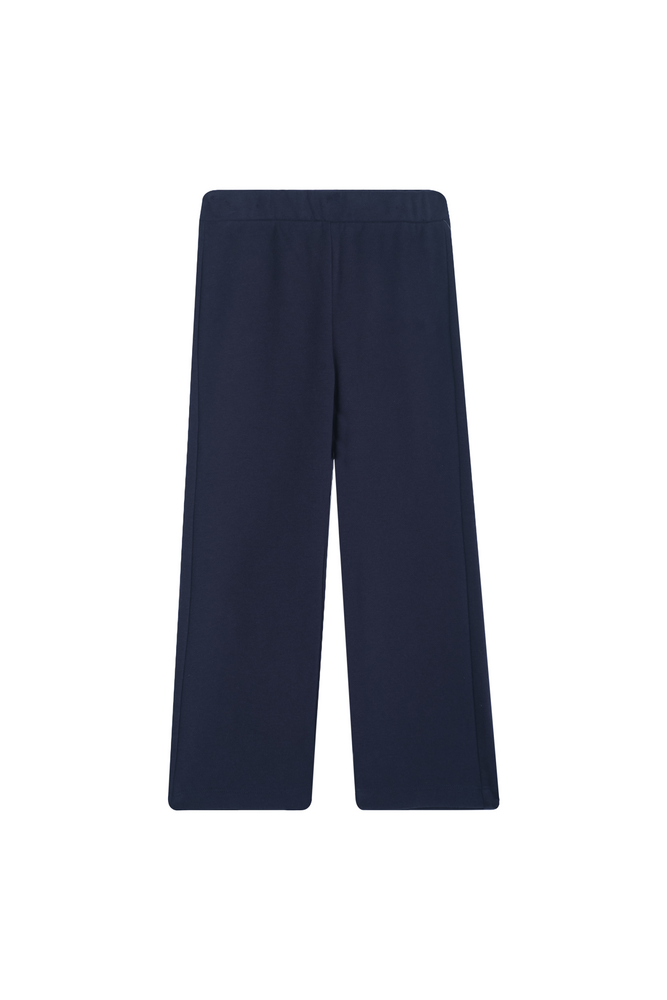 BASICS-SG-37-C