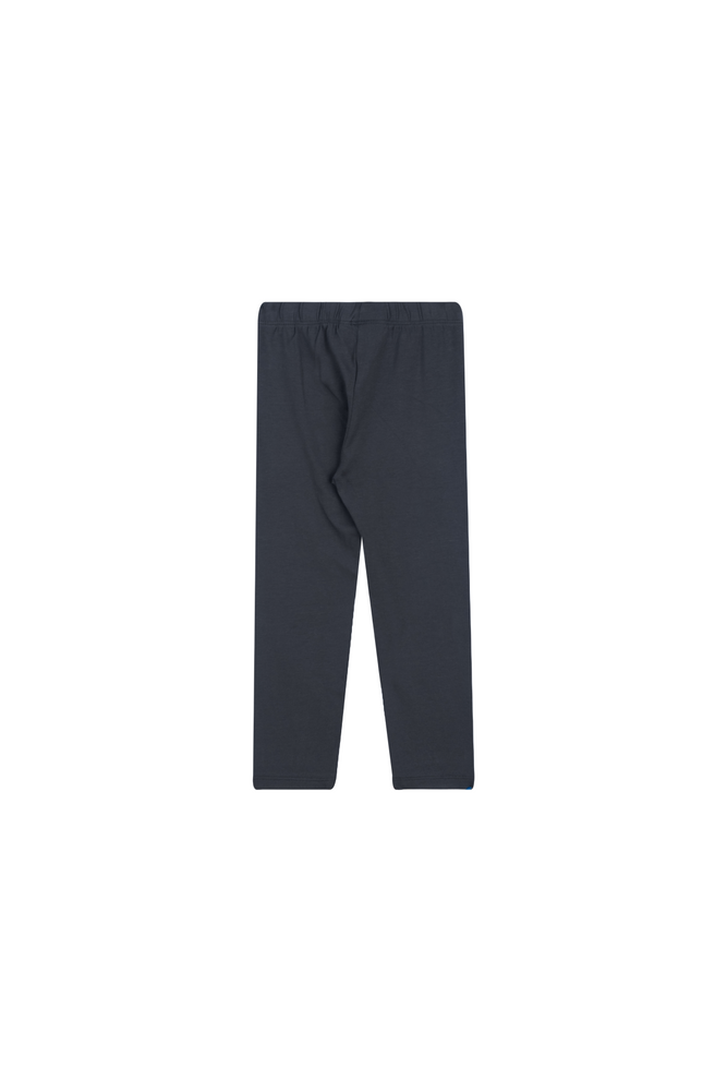 BASICS-SG-39-B