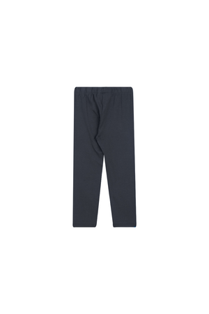 BASICS-SG-39-B