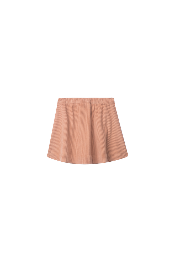 CORPEM-SG-41-D