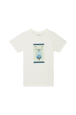 MATEO-SB-02-C